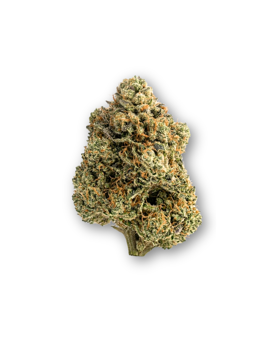 TNT D10 La Clandestina CBD