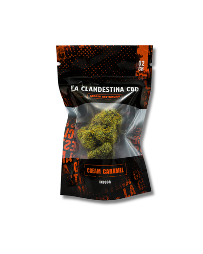 Cream Caramel Indoor La Clandestina CBD