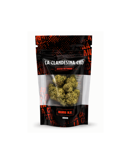 Mango M.K. Indoor La Clandestina CBD