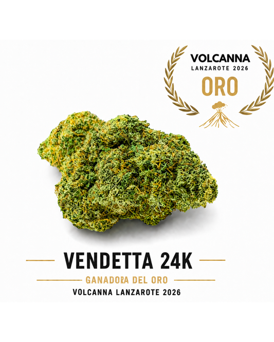 Vendetta 24 Kilates Indoor La Clandestina CBD