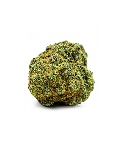 Cream Caramel Indoor La Clandestina CBD