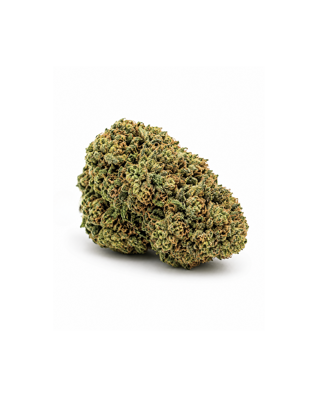 Mango M.K. Indoor La Clandestina CBD